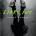 Liars Inc Paula Stokes sweepstakes autographed Critical Blast contest