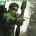Green Arrow 45