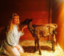 Charo and Manolito Farm Sanctuary ABC Celebrity Wife Swap Critical Blast